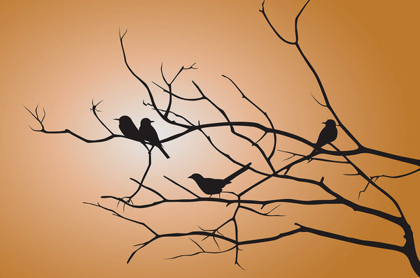 All Wall Decals Are Not Created Equal - Are You Buying The Best AND Safest Decorative Wall Decals?