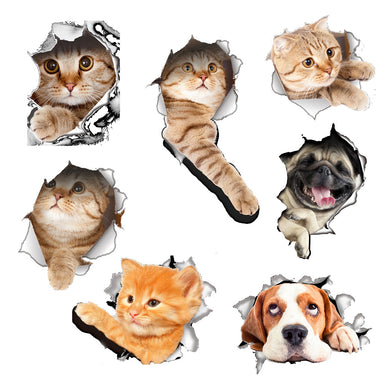 3D Pet Wall Decor